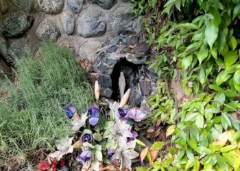 Terreno - Villa Frazione Gisola, 78, Pessinetto - foto 24