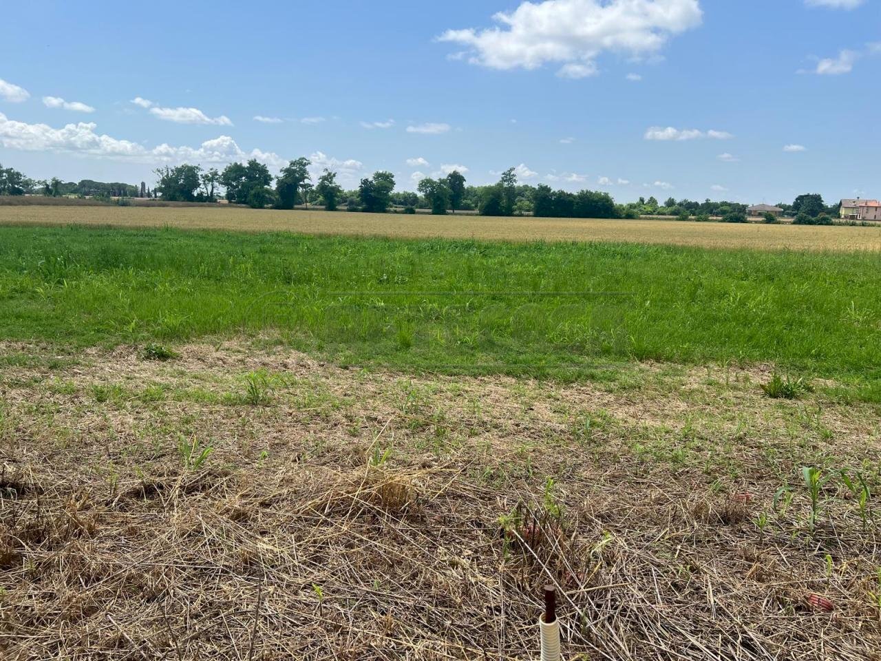 ESTERNI - Building land Via dell'Ancona 5, Santa Maria La Longa - photo 3