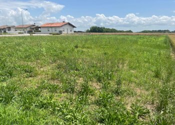 ESTERNI - Terreno edificabile Via dell'Ancona 5, Santa Maria La Longa - foto 4