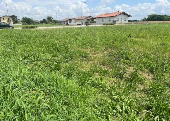 ESTERNI - Terreno edificabile Via dell'Ancona 5, Santa Maria La Longa - foto 5