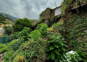 WhatsApp Image 2024-06-13 at 12.46.39 (3).jpeg - Rustic Riomaggiore - photo 4