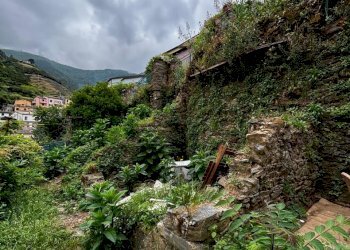 WhatsApp Image 2024-06-13 at 12.46.38 (1).jpeg - Rustic Riomaggiore - photo 6