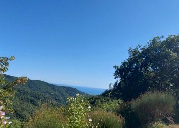 img_4771_30_20230920180453.jpg - Casa indipendente Via GIGNOLA, Fosdinovo - foto 28