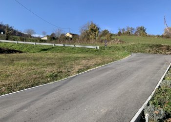 Building land Langhirano - photo 3