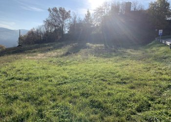 Building land Langhirano - photo 5