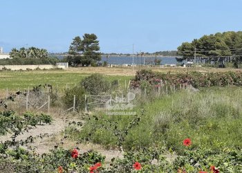 Independent house Marsala - photo 9