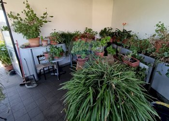 Stabile - Palazzo Via Amalfi, 109 
 Dormelletto, Dormelletto - foto 4