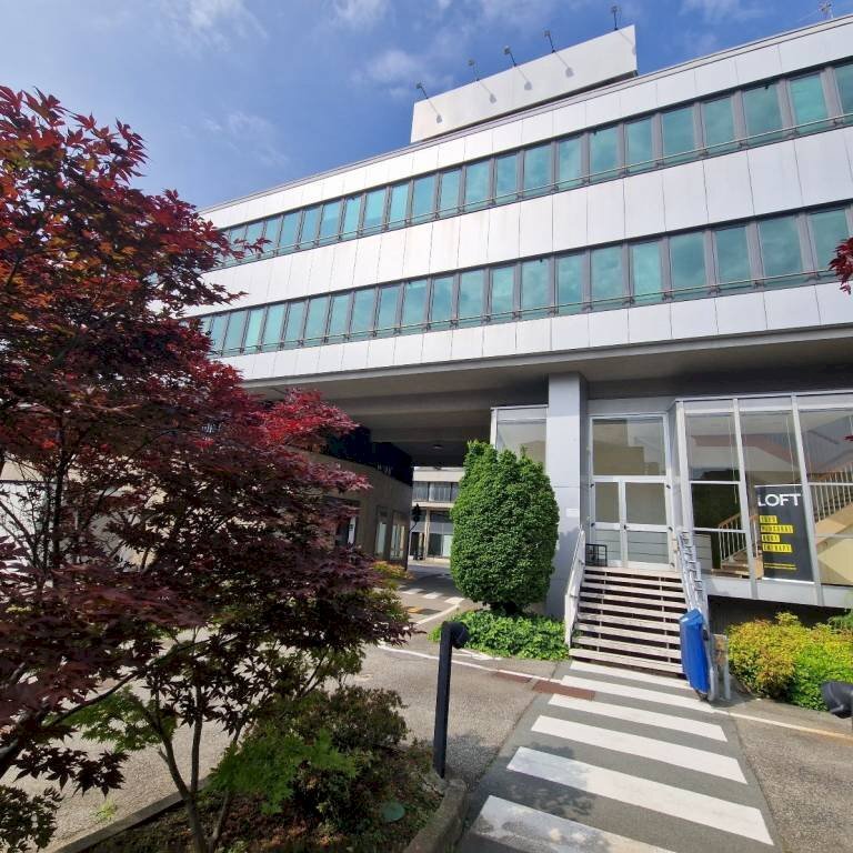 Ingresso 2 - Ufficio via Vincenzo Monti, 23, Pero - foto 1