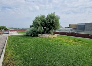 Giardino in copertura - Ufficio via Vincenzo Monti, 23, Pero - foto 35