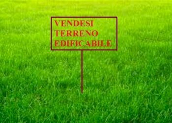 imm_2967-947-.jpg - Terreno edificabile via Montello, Malnate - foto 2