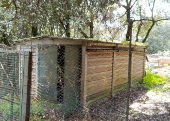 WhatsApp Image 2024-03-22 at 12.40.20 (1).jpeg - Agricultural land porchiano, Amelia - photo 5