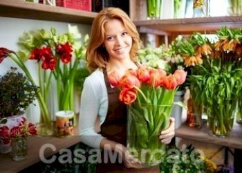 2.jpg - Piante e Fiori Via San Sebastiano, Rocca di Papa - foto 1