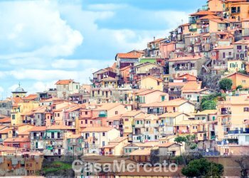 1.png - Piante e Fiori Via San Sebastiano, Rocca di Papa - foto 2