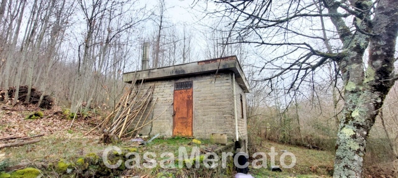 11est.jpg - Rustico Via Vinale delle Faete, Rocca di Papa - foto 3