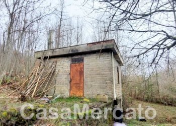 11est.jpg - Rustico Via Vinale delle Faete, Rocca di Papa - foto 3