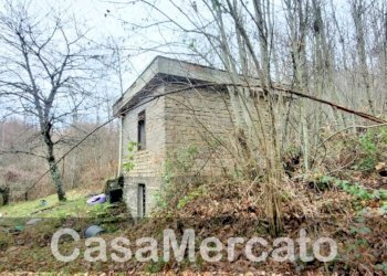 est1.jpg - Rustico Via Vinale delle Faete, Rocca di Papa - foto 4