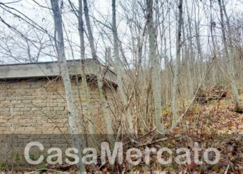 est3.jpg - Rustico Via Vinale delle Faete, Rocca di Papa - foto 5