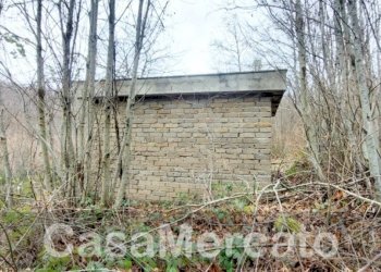 est4.jpg - Rustico Via Vinale delle Faete, Rocca di Papa - foto 6