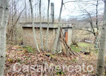 est5.jpg - Rustico Via Vinale delle Faete, Rocca di Papa - foto 7