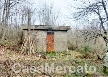 est6.jpg - Rustico Via Vinale delle Faete, Rocca di Papa - foto 8