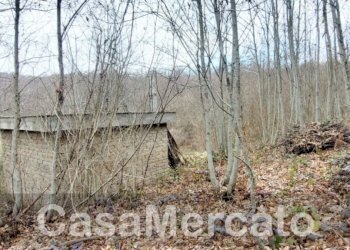 est9.jpg - Rustico Via Vinale delle Faete, Rocca di Papa - foto 9