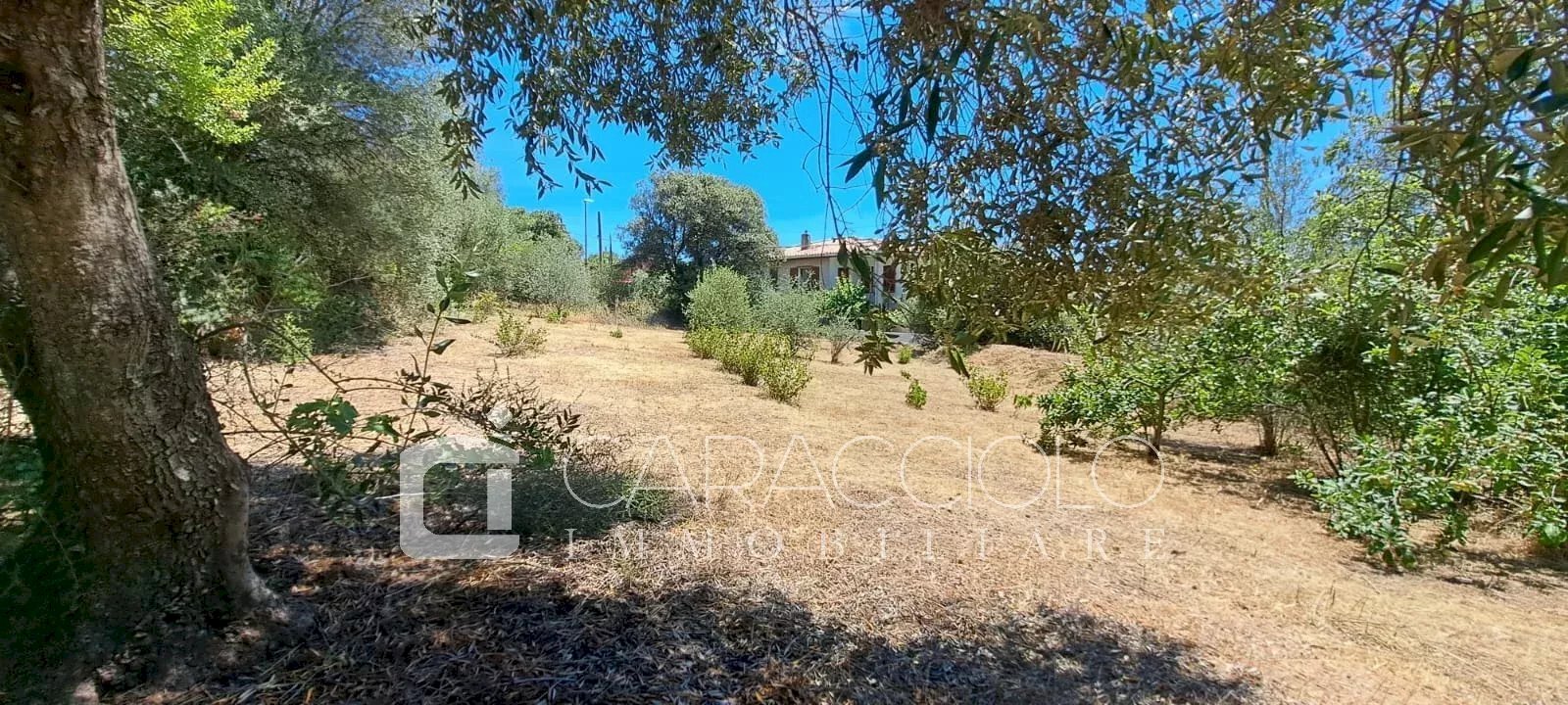 Terreno edificabile Olbia - foto 1