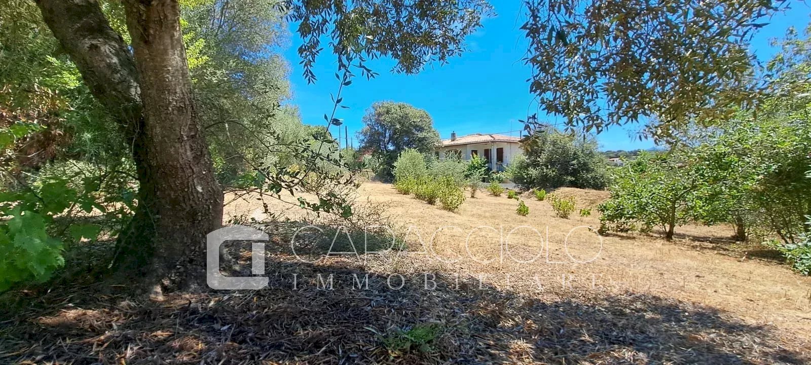 Terreno edificabile Olbia - foto 2