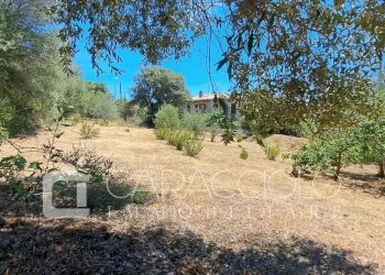 Terreno edificabile Olbia - foto 1