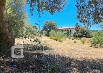 Terreno edificabile Olbia - foto 2