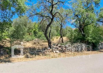 Terreno edificabile Olbia - foto 4