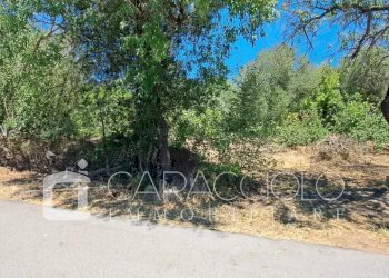 Terreno edificabile Olbia - foto 5