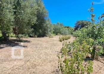 Terreno edificabile Olbia - foto 7