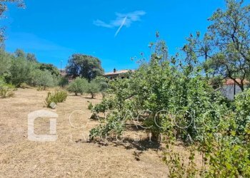 Terreno edificabile Olbia - foto 8