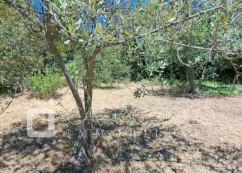 Terreno edificabile Olbia - foto 9