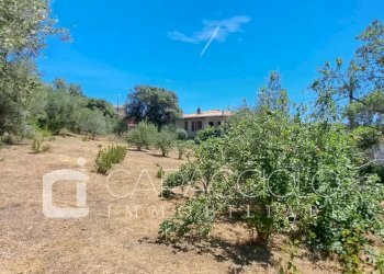 Terreno edificabile Olbia - foto 10