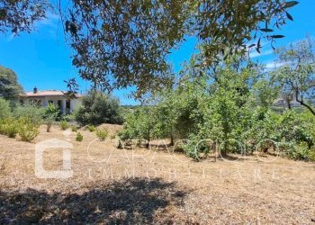 Terreno edificabile Olbia - foto 13