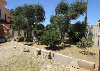 Giardino - Villa Statte - foto 19