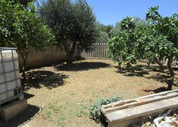 Giardino - Villa Statte - foto 21