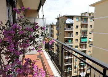 BALCONE - Trilocale via Bartolomeo Carrea, 8, Genova (zona Sampierdarena) - foto 17