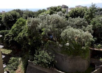 VISTA - Trilocale via Bartolomeo Carrea, 8, Genova (zona Sampierdarena) - foto 24