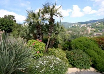 Vista - Quadrilocale via Antonietta Massuccone Mazzini, Genova (zona Bolzaneto) - foto 14