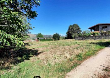 WhatsApp Image 2024-06-13 at 09.23.51 (1).jpeg - Terreno agricolo via colle ponte, Guidonia Montecelio - foto 1