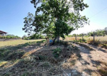 WhatsApp Image 2024-06-13 at 09.23.51 (3).jpeg - Terreno agricolo via colle ponte, Guidonia Montecelio - foto 3