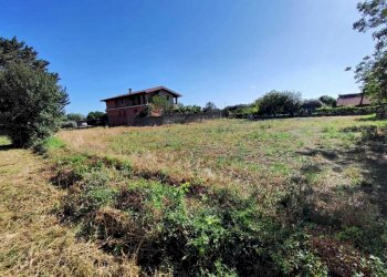 WhatsApp Image 2024-06-13 at 09.23.51 (4).jpeg - Terreno agricolo via colle ponte, Guidonia Montecelio - foto 4