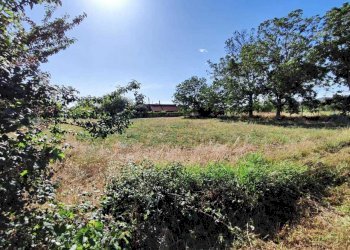 WhatsApp Image 2024-06-13 at 09.23.52.jpeg - Terreno agricolo via colle ponte, Guidonia Montecelio - foto 11