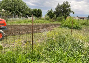 Terreno edificabile Regione berga, Macello - foto 15