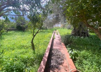 Giardino - Villa via Capri, Carini - foto 7