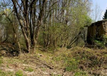panoramica - Rustico Borgata Marchetti, Melle - foto 15