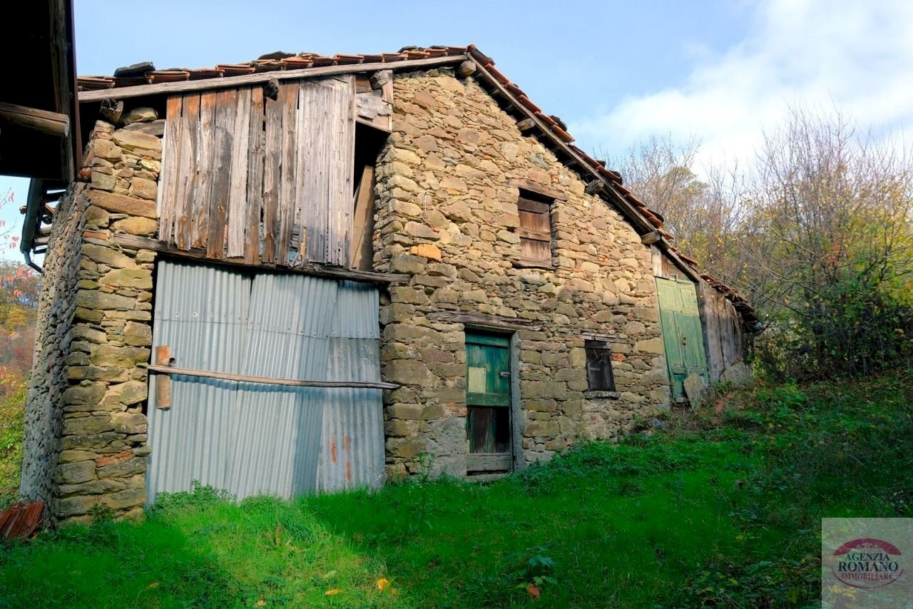 DSCF8863.jpg - Rustico pianlago, Ponzone - foto 3