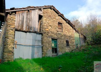 DSCF8864.jpg - Rustico pianlago, Ponzone - foto 4